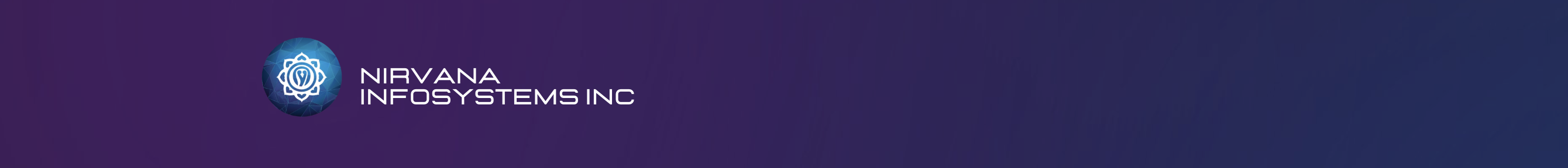 Nirvana Infosystems Inc